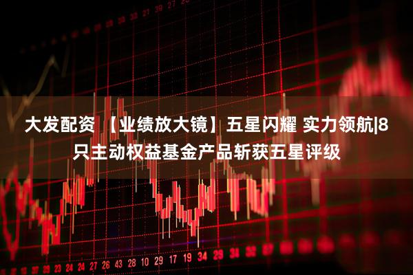 大发配资 【业绩放大镜】五星闪耀 实力领航|8只主动权益基金产品斩获五星评级