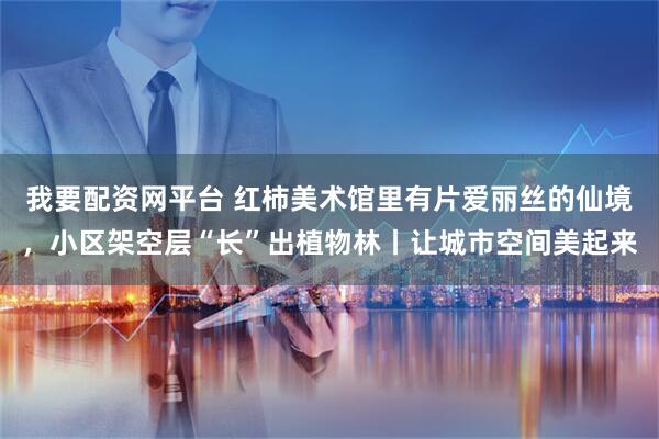 我要配资网平台 红柿美术馆里有片爱丽丝的仙境，小区架空层“长”出植物林丨让城市空间美起来