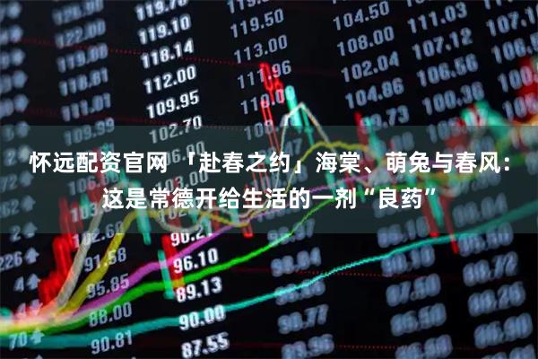 怀远配资官网 「赴春之约」海棠、萌兔与春风：这是常德开给生活的一剂“良药”