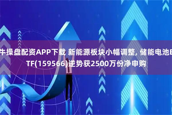 牛操盘配资APP下载 新能源板块小幅调整, 储能电池ETF(159566)逆势获2500万份净申购