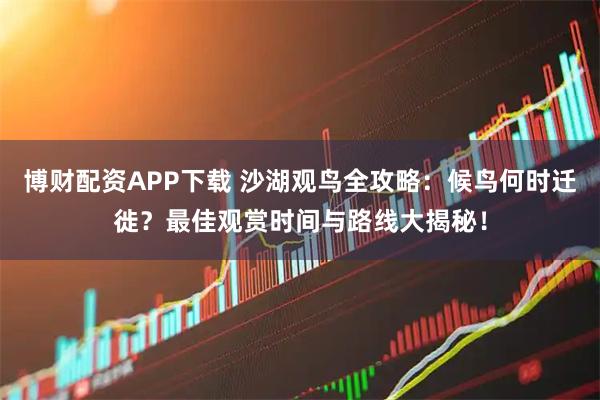 博财配资APP下载 沙湖观鸟全攻略：候鸟何时迁徙？最佳观赏时间与路线大揭秘！